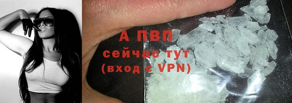 PSILOCYBIN Богородск