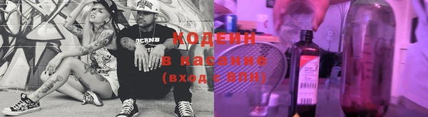 мдпв Богданович