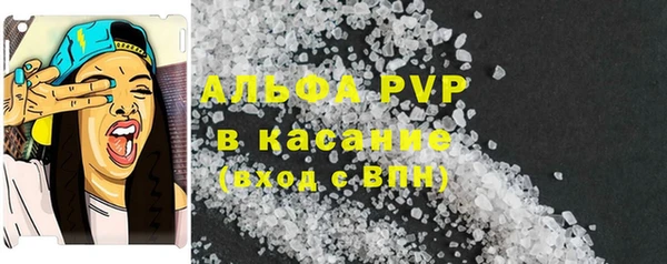 мдпв Богданович