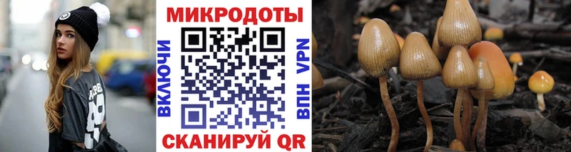 Галлюциногенные грибы MAGIC MUSHROOMS  Шахунья 
